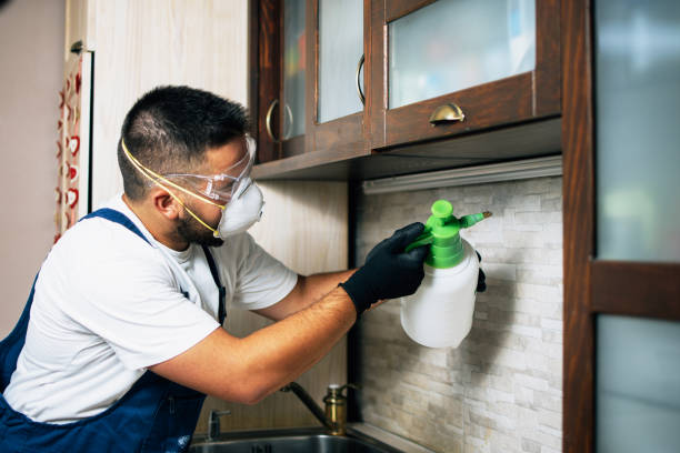 Pest Control Cost in Sweetser, IN