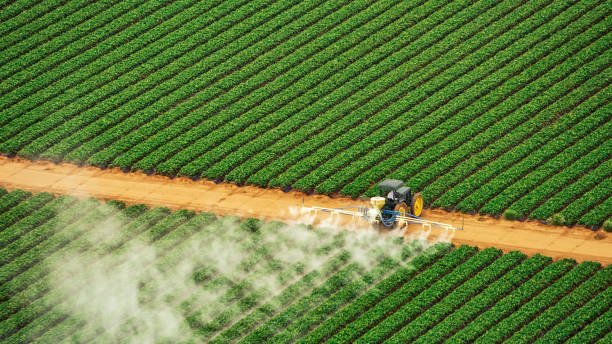 Trusted Sweetser, IN Pest Control Experts