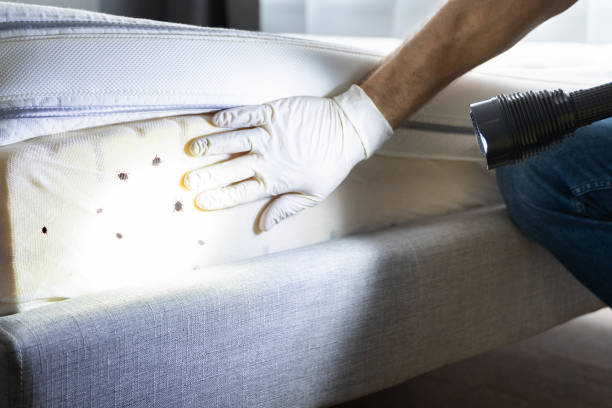 Best Pest Removal Services  in Sweetser, IN